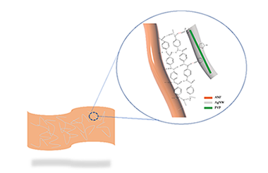 Aramid Nanofiber Composite Conductive Film Prepared via a Simple Mothed 2011-3154